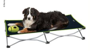 Hundebett / Hundeliege, faltbar 122×62 cm schwarz-lime