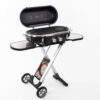 Carbest-Trolley-Grill-916884-2.jpg